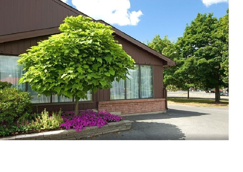 Ramada By Wyndham Kingston Motel Eksteriør billede