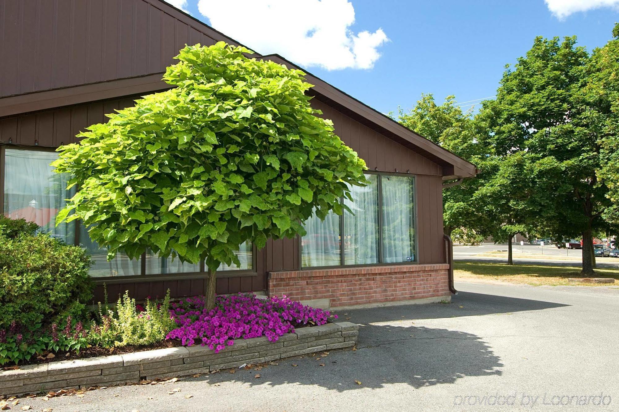 Ramada By Wyndham Kingston Motel Eksteriør billede